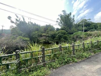 竹13鄉道, Синьпу, Уезд Синьчжу 305, Тайвань