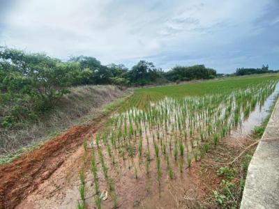 福祥路, 中壢區, טאו - יואן העיר 320, טיוואן