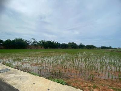 福祥路, 中壢區, טאו - יואן העיר 320, טיוואן