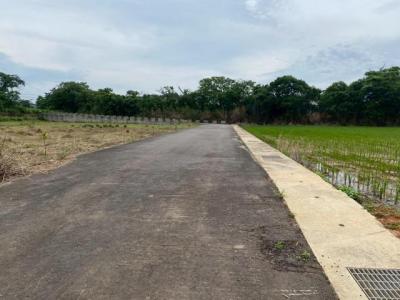 福祥路, 中壢區, טאו - יואן העיר 320, טיוואן