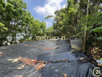 葫蘆墩段, Fengyuan Dist., Taichung 420, Taïwan