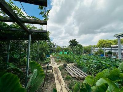 豐原大道七段, Fengyuan Dist., Taichung 420, Taiwán