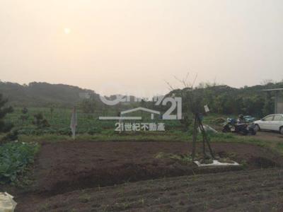 忠源段, Tamsui Dist., نيو تايبيه 251, تايوان