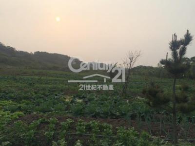 忠源段, Tamsui Dist., نيو تايبيه 251, تايوان
