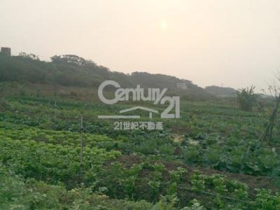 忠源段, Tamsui Dist., نيو تايبيه 251, تايوان
