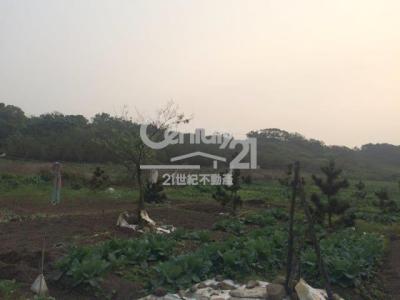 忠源段, Tamsui Dist., نيو تايبيه 251, تايوان