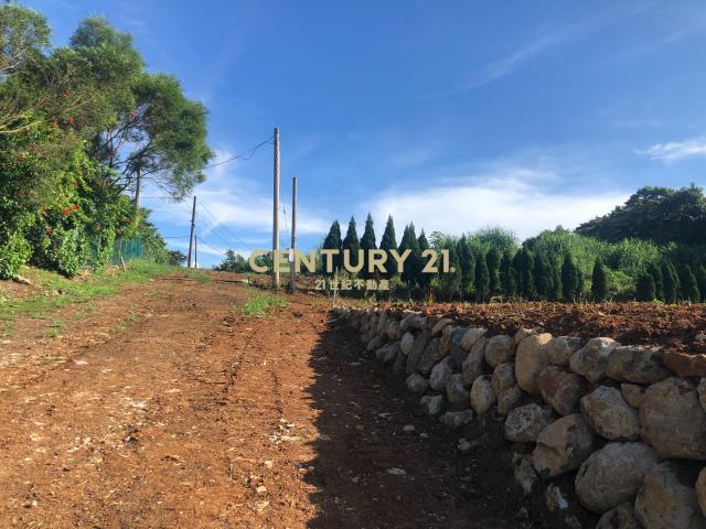 水源段, Tamsui Dist., نيو تايبيه 251, تايوان