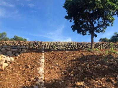 水源段, Tamsui Dist., نيو تايبيه 251, تايوان