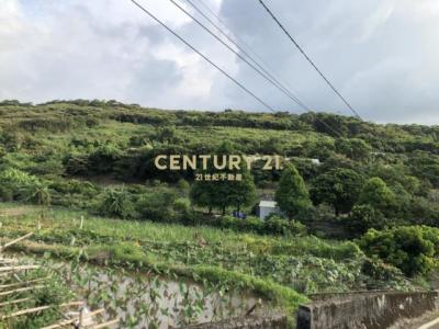 中和段, Tamsui Dist., نيو تايبيه 251, تايوان
