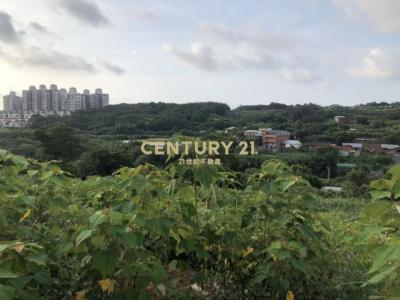 中和段, Tamsui Dist., نيو تايبيه 251, تايوان