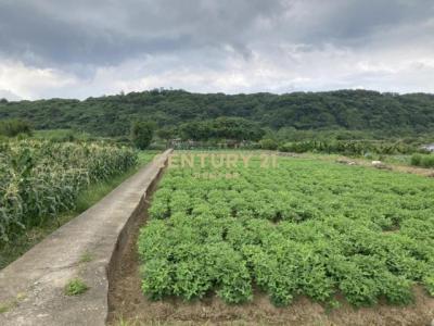 梅山段, Shimen Dist., Nueva Taipei 253, Taiwan