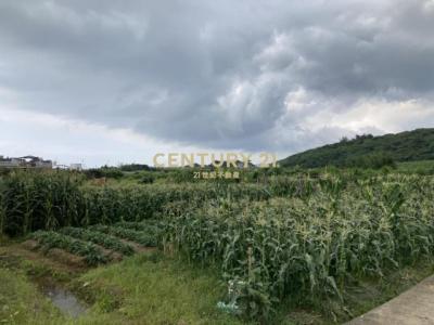 梅山段, Shimen Dist., Nueva Taipei 253, Taiwan