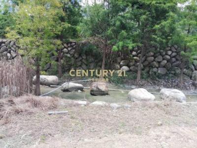 北港溪段, Guoxing Township, Nantou County 544, Taiwan