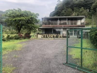 蕃薯段, Tamsui Dist., نيو تايبيه 251, تايوان