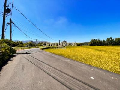 屯山段, Tamsui Dist., New Taipei City 251, Taiwan