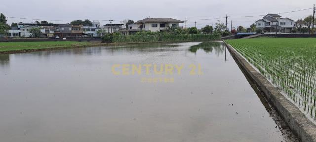 新七賢段, Yuanshan Township, Yilan City 264, Taiwan