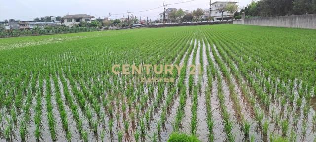 新七賢段, Yuanshan עיירה, Yilan עיר 264, טיוואן