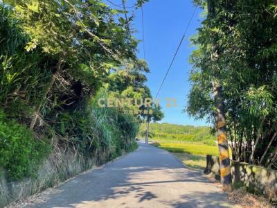 平安段, Zaoqiao Township, Miaoli County 361, Taiwan