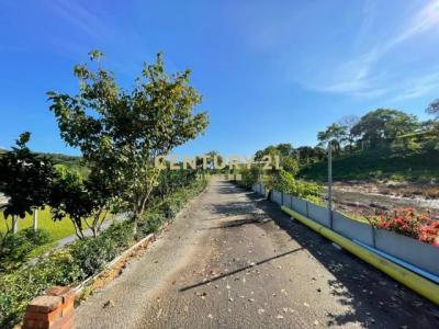 平安段, Zaoqiao Township, Miaoli County 361, Đài Loan