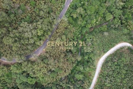 內灣段, 三灣鄉, 苗栗縣 352, 台灣