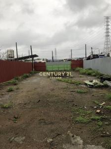 和平段, 楊梅區, Đào Viên 326, Đài Loan