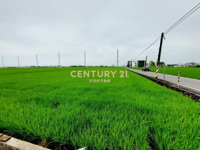 壯志段, Zhuangwei Township, Yilan City 263, Taiwan