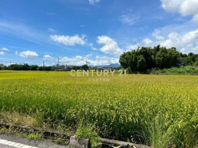 三興段, Wujie Township, 宜兰 268, 台湾