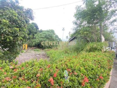 長橋段, Fenglin Township, Hualien County 975, Taiwan