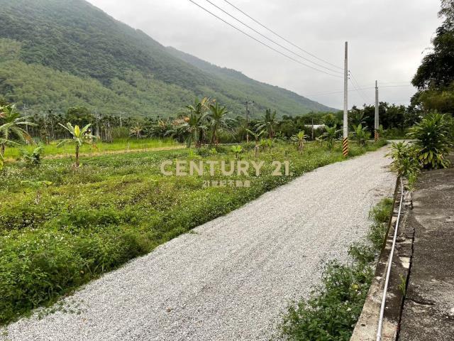 路內段, Ji'an Township, Hualien County 973, Taiwan