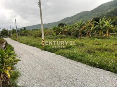 路內段, Ji'an Township, Hualien County 973, Taiwan