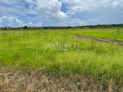 玉泉段, Jiaoxi Township, Yilan 262, Taïwan