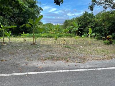 路內段, Shoufeng Township, Hualien County 974, Taiwan