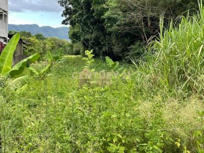 路內段, Shoufeng Township, Hualien County 974, Taiwan