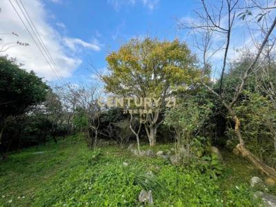 新小基隆段二坪頂小段, Sanzhi Dist., Tân Bắc 252, Đài Loan