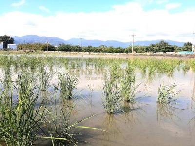 深洲段, Yuanshan Township, Yilan City 264, Taiwan