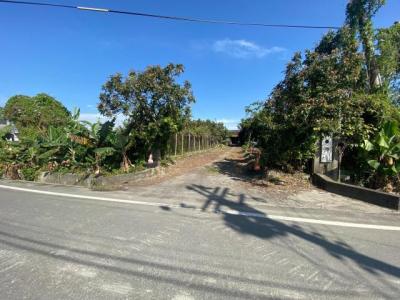 新群一段, Luodong Township, Yilan City 265, Taiwan