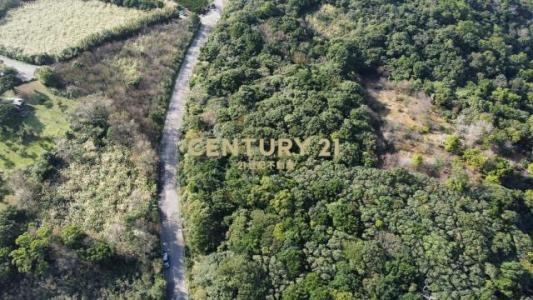 土地公埔段員山子頂小段, Sanzhi Dist., טאיפיי החדשה 252, טיוואן 