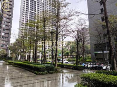 福美街, Xinzhuang Dist., Nueva Taipei 242, Taiwán