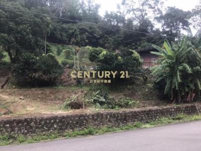 崁頂寮段, 三灣鄉, 苗栗縣 352, 台灣