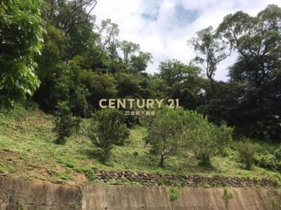 崁頂寮段, 三灣鄉, 苗栗縣 352, 台灣