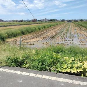 壯東段, Zhuangwei Township, Yilan City 263, Taiwan