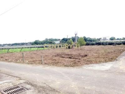 大南段大南小段, Xinshe Dist., Taichung 426, Taiwan