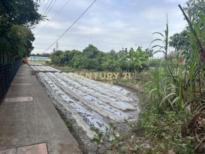 新厝段, Wufeng Dist., Đài Trung 413, Đài Loan