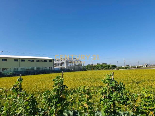新興段, Xizhou Township, Changhua County 524, Taiwán