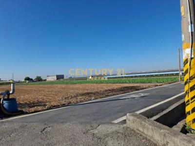 新興段, Xizhou Township, Changhua County 524, Taiwán