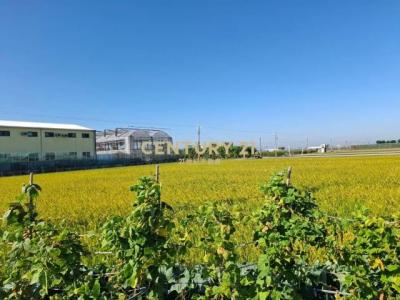 新興段, Xizhou Township, Changhua County 524, Taiwán