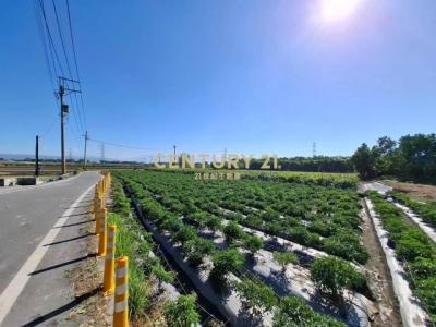 新興段, Xizhou Township, Changhua County 524, Taiwán