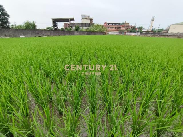 隘城段, Su'ao Township, Yilan County 270, Taiwan