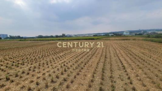 春社段, Nantun Dist., Taichung 408, Taiwan