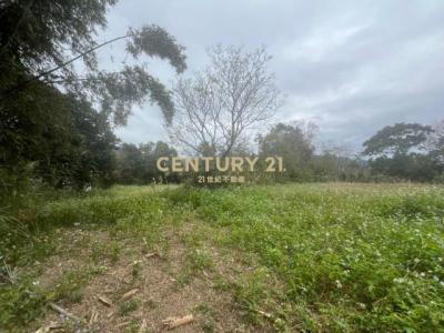 三坑段, 龍潭區, Taoyuan City 325, Taiwan